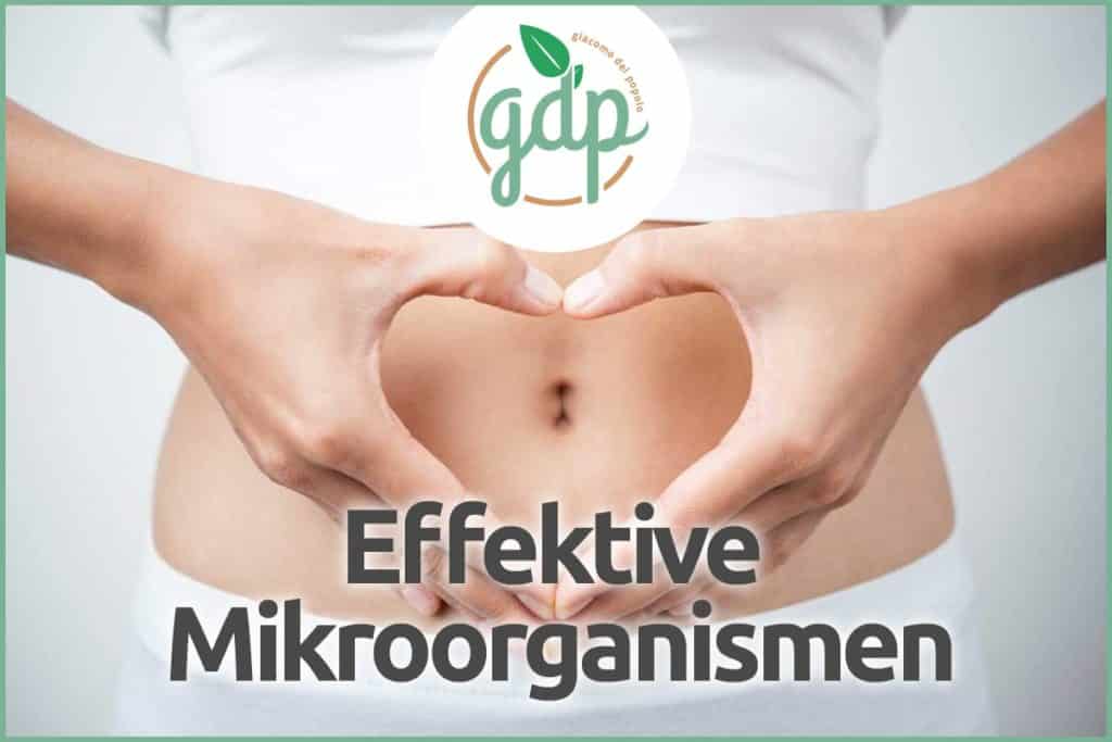 effektive mikroorganismen