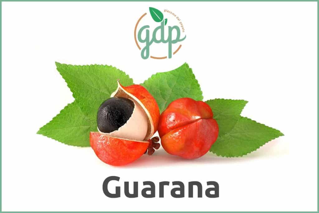 guarana