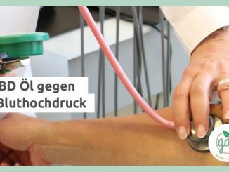 Hilft CBD Öl oder Hanföl gegen Bluthochdruck? 1 gdp magazin cbd