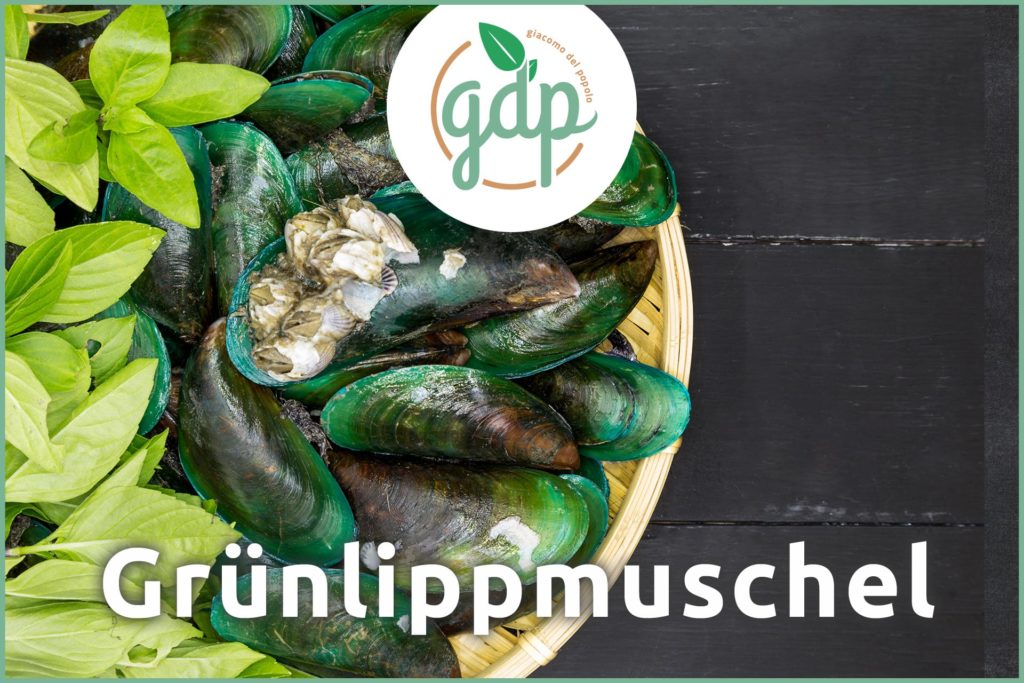 gruenlippmuschel gdp titelbild