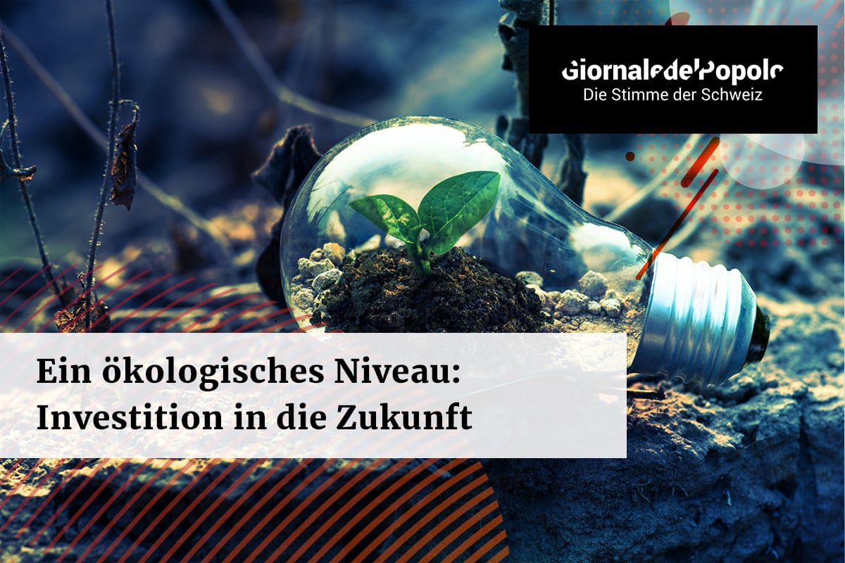 Ein umweltwissenschaftliches Niveau Eine Investition in die Zukunft