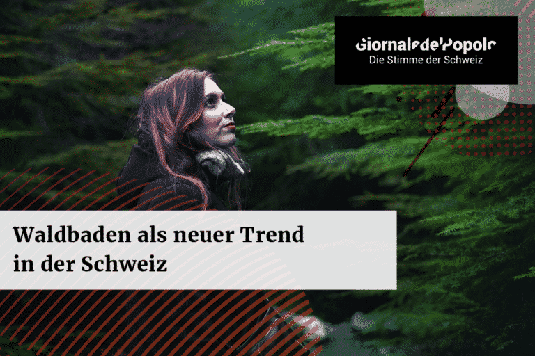 Waldbaden als neuer Trend in der Schweiz – hier erfahren Sie, wie man es macht
