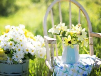 Grüne Oasen der Ruhe: Gartenpflege für Wohlbefinden