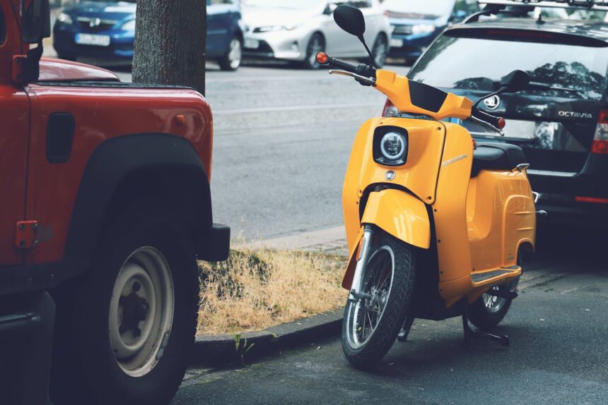 pexels christina99999 32980321