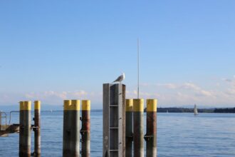 gitzenweiler hof - Seagull sitting on a pier post by Lake Constance on a clear day with sailboats.