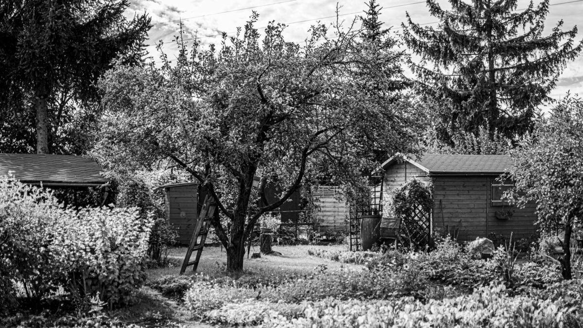 Hölzernes Gartenhaus im begrünten Schweizer Garten