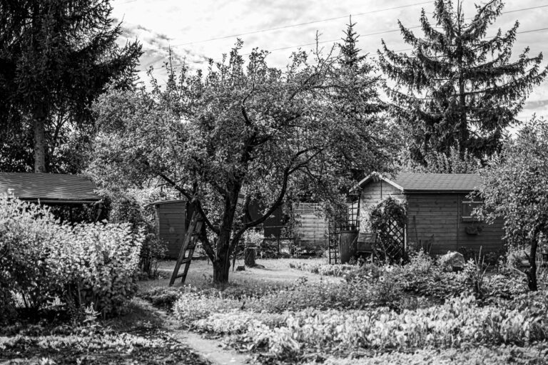 Hölzernes Gartenhaus im begrünten Schweizer Garten