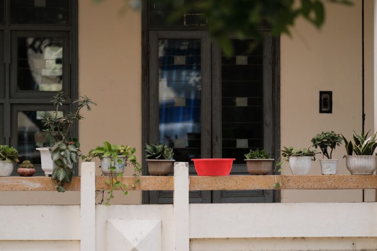 Bepflanztes Hochbeet auf einem sonnigen Balkon