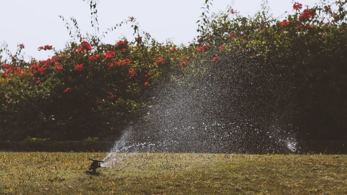 Gartenbewässerung im Sommer: Systeme im Vergleich